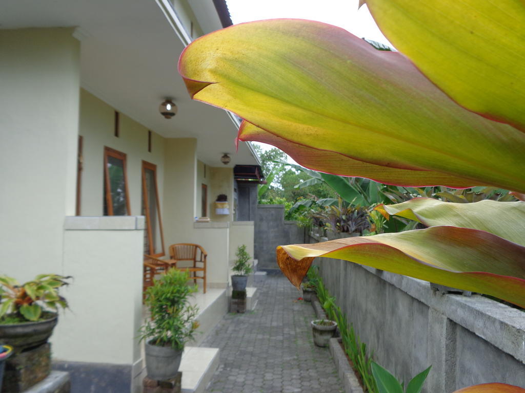 Sintya Homestay Ubud Dış mekan fotoğraf
